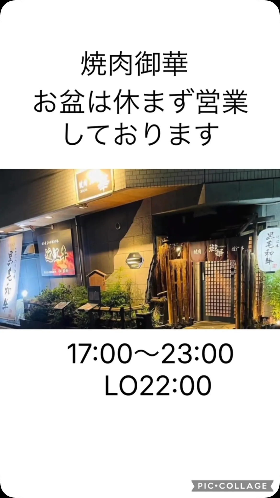 夏の陽気が感じられますね。